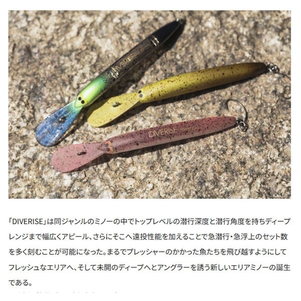 CARDIFF ダイバライズ 55F